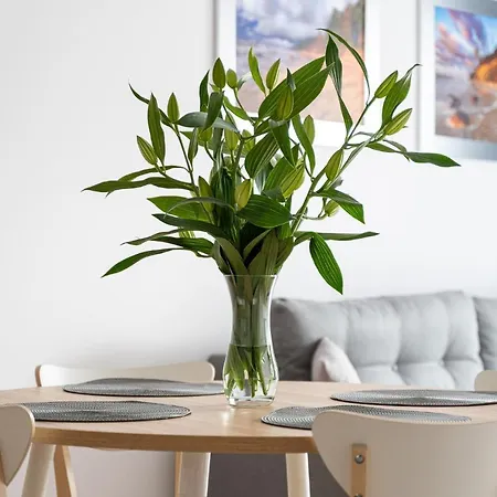 Olimpijska 2 - Apartment Mielno (Koszalin)